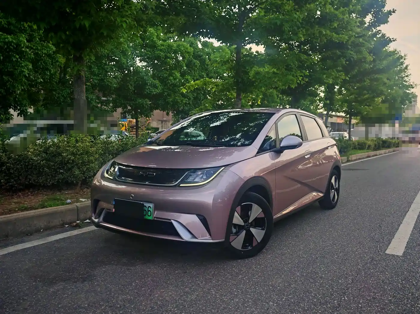 BYD Dolphin 2023 420km Freedom Edition