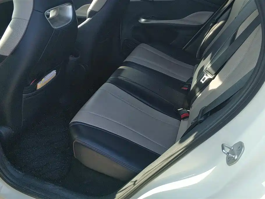 BYD Dolphin 2024 Glory Edition 420km Freedom Edition фото 11