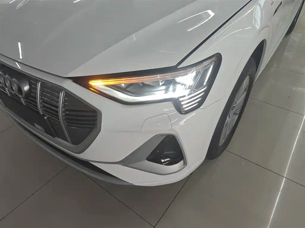 Audi e-tron 2021 50 quattro Luxury фото 24