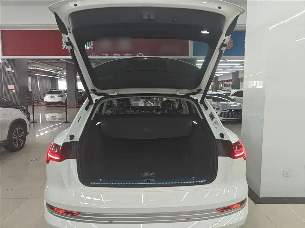 Audi e-tron 2021 50 quattro Luxury фото 19