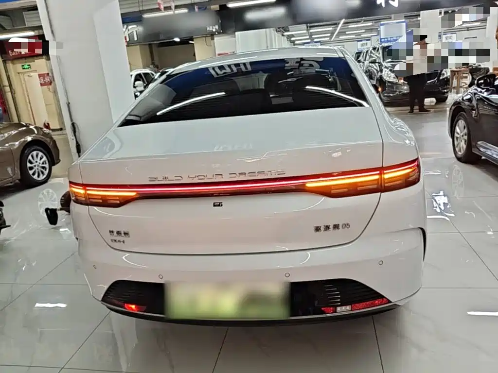 BYD Destroyer 05 2024 2024 Glory Edition DM-i 55KM Luxury