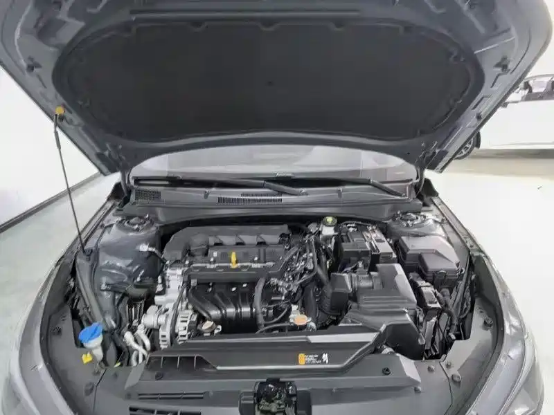 Hyundai Elantra 2021 1.5L CVT GLX Elite Edition фото 19