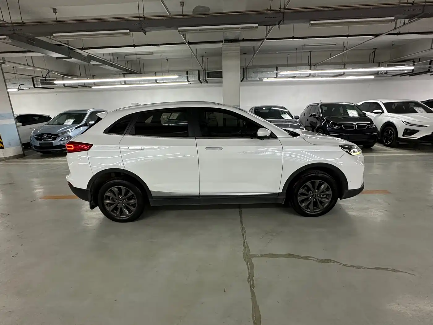 2019 Weltmeister EX5