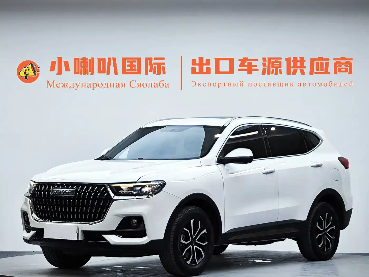 Haval H6 2023 National Trend Edition 1.5T Automatic Urban