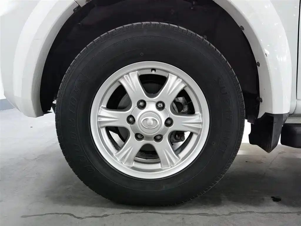 GREAT WALL FENGJUN 5