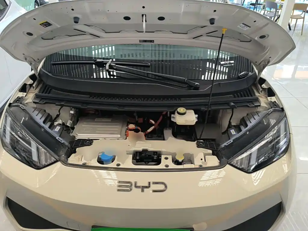 BYD Seagull 2026 2025 Smart Drive Edition 305km Vitality Version