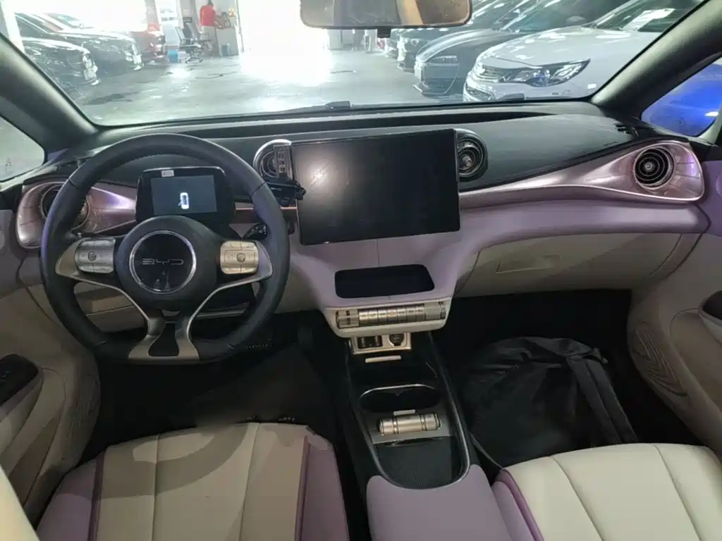 BYD Dolphin 2022 2021 405km Freedom Edition