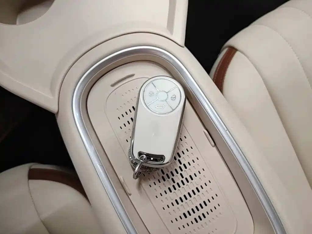 Ora Good Cat 2025 2024 401km Luxury