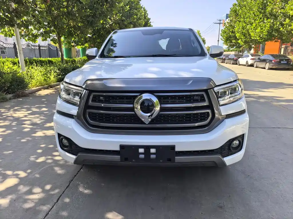 Great Wall Pao 2025 2024 Model 2.4T Passenger Version Automatic Diesel 4WD Comfort Type