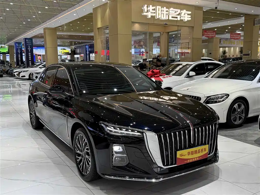 Hongqi H5 2025 2.0T Automatic Flag Celebration 500,000 Units Anniversary Edition фото 14