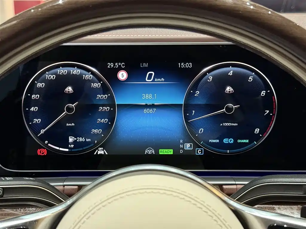 Mercedes-Benz Maybach GLS 2021 GLS 480 4MATIC фото 11