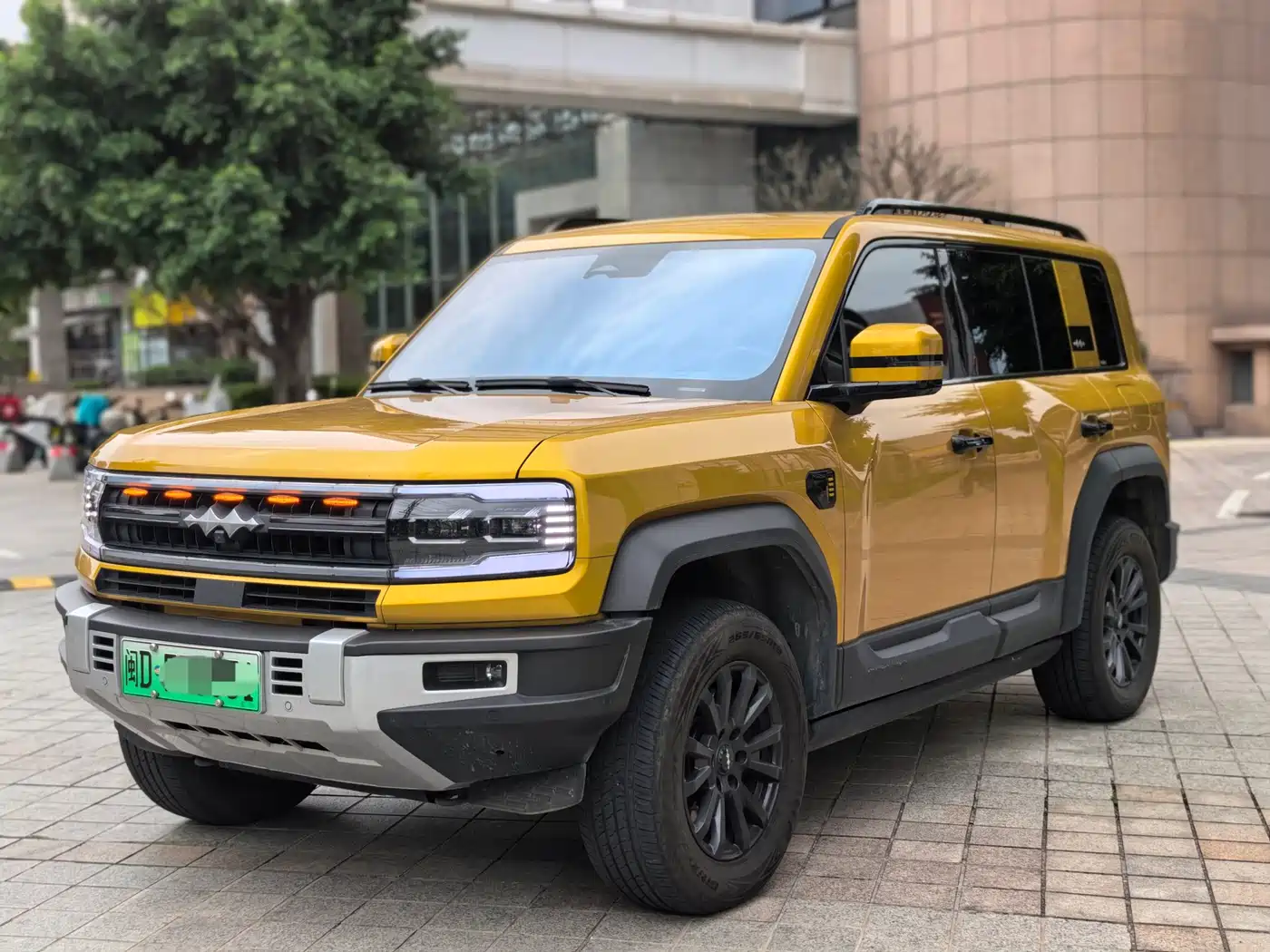 FANG CHENG BAO LEOPARD 5