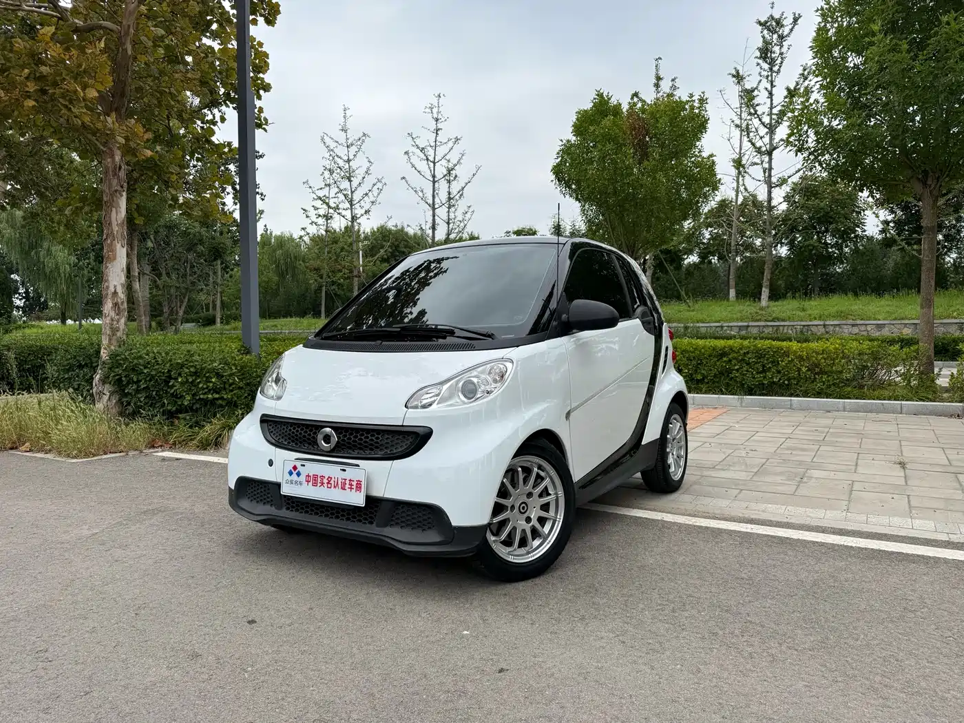 smart fortwo 2014 2012 1.0 MHD Hardtop Standard