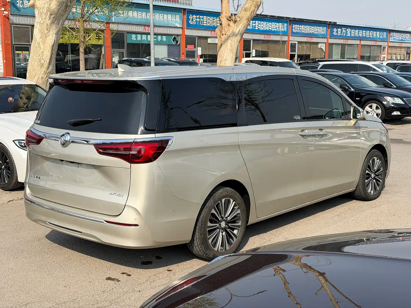 Buick GL8 2021 ES Landlord 653T Luxury фото 4