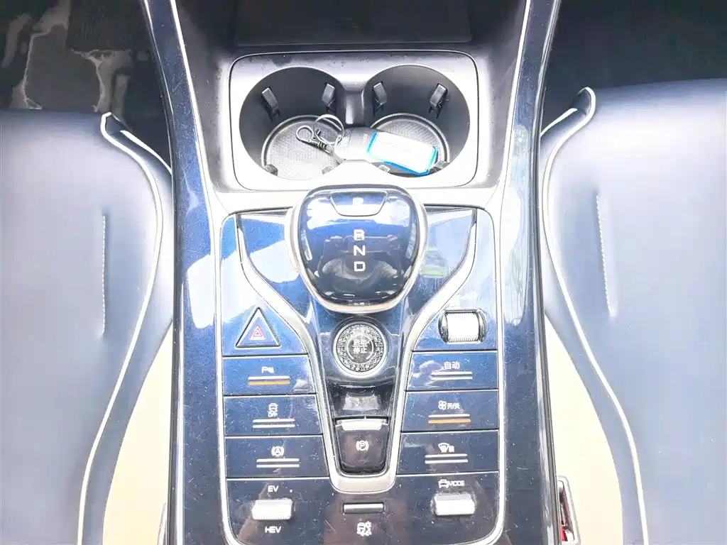 BYD Qin PLUS 2021 DM-i 55KM Flagship фото 6