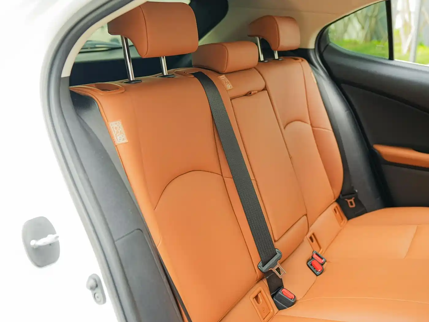 Lexus UX 2020 200 Special Edition фото 15