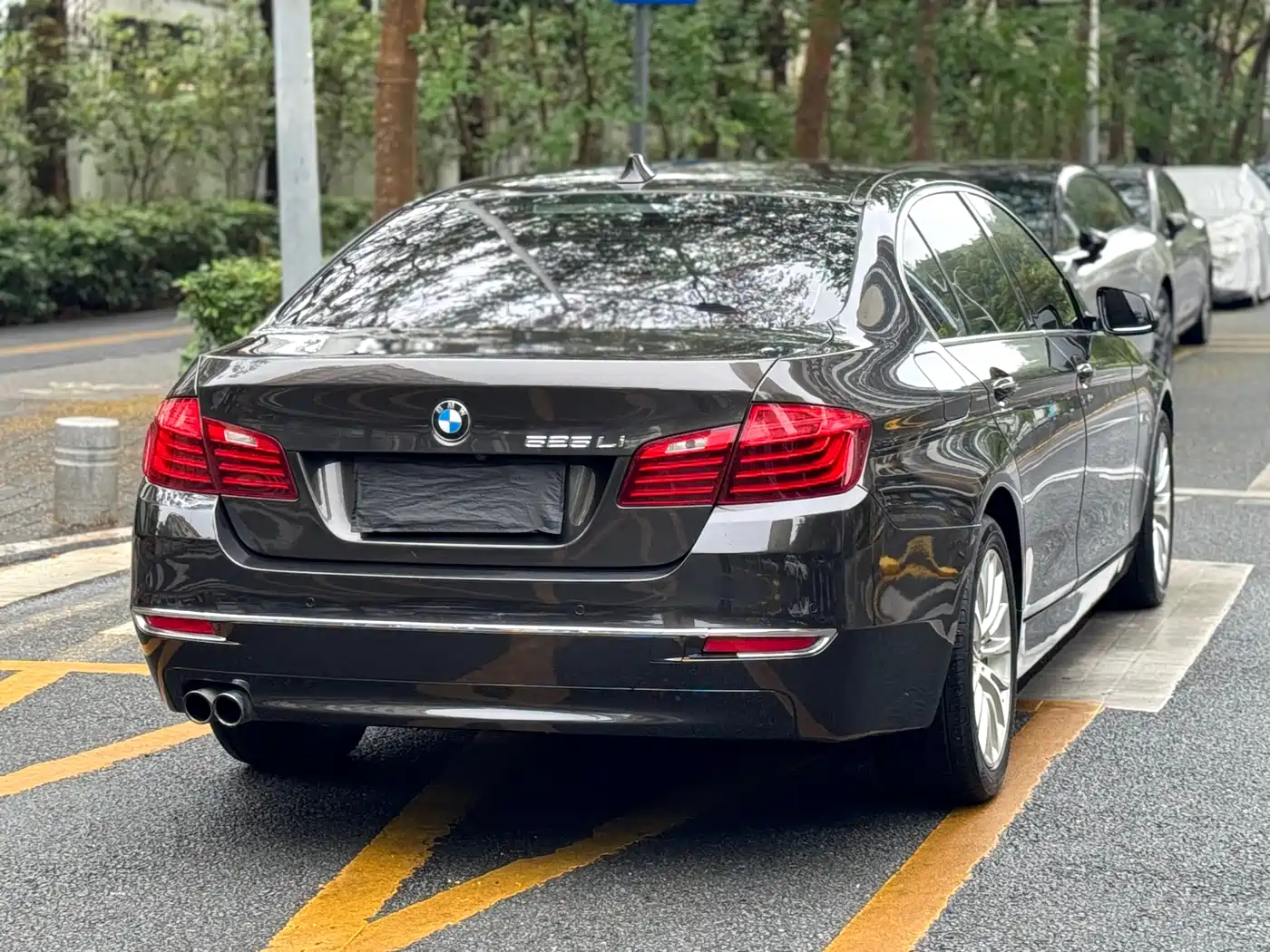 BMW 5 Series 2014 525Li Luxury Design Package фото 21