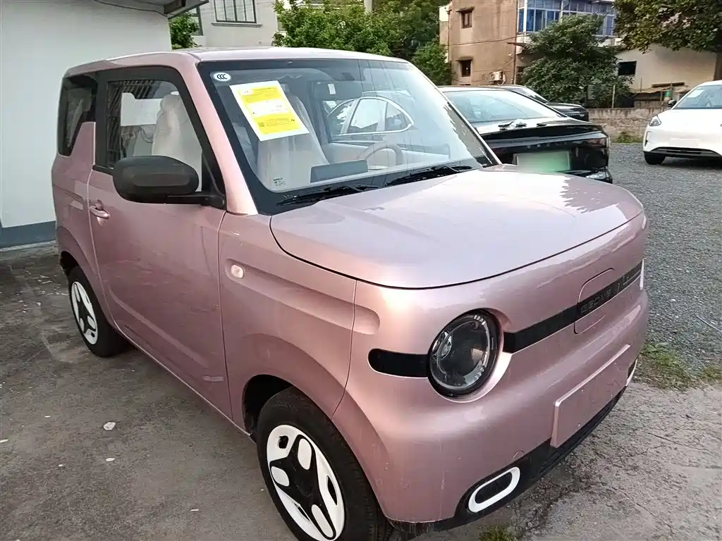 Geely Galaxy Panda 2025 Panda mini 210km Vitality Bear фото 4