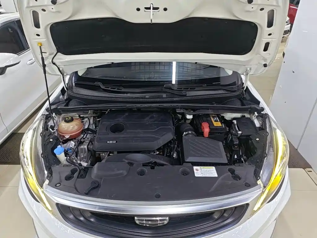 Geely Emgrand GS 2020 2020 1.4T CVT Elegance
