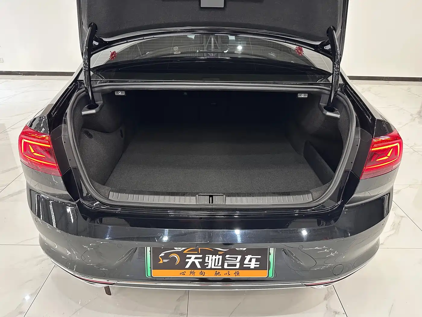 Volkswagen Magotan GTE Plug-in Hybrid 2024 2022 GTE Luxury