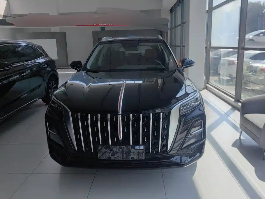 Hongqi HS5 2025 2025 2.0T 2WD Qixiang Pro