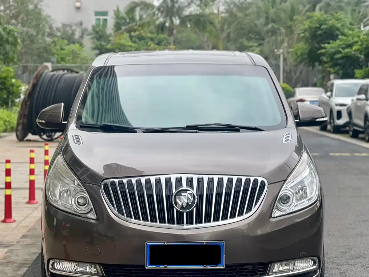 Buick GL8 2014 2.4L CT Luxury Business Comfort фото 2