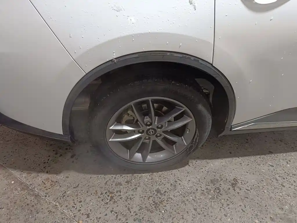 Фото 24 - Haima 7X