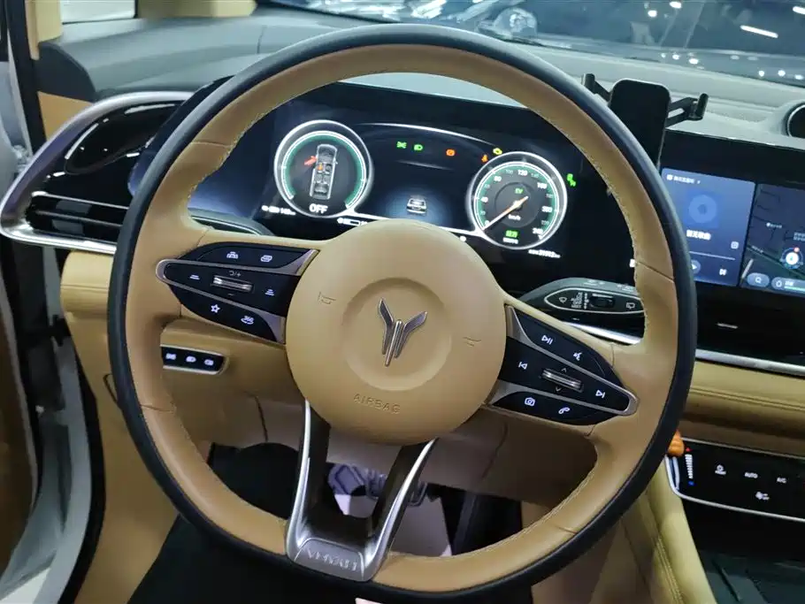 Voyah Auto Voyah Dreamer 2024 PHEV Extended Range Flagship Edition фото 15