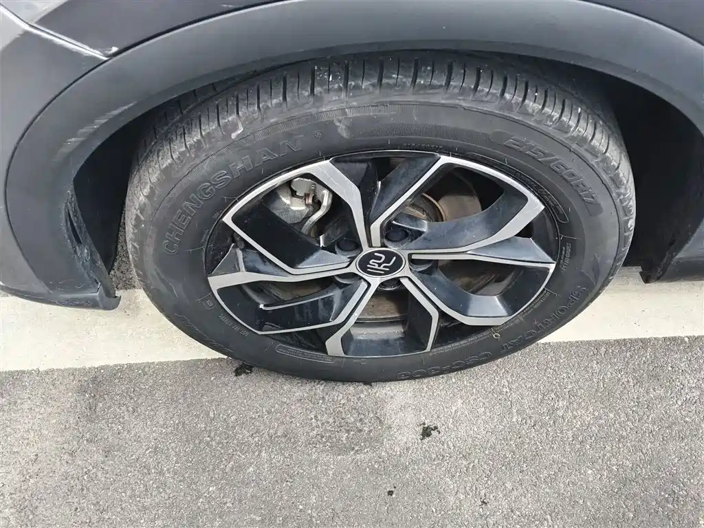 BYD Yuan PLUS 2022 510KM Premium фото 23