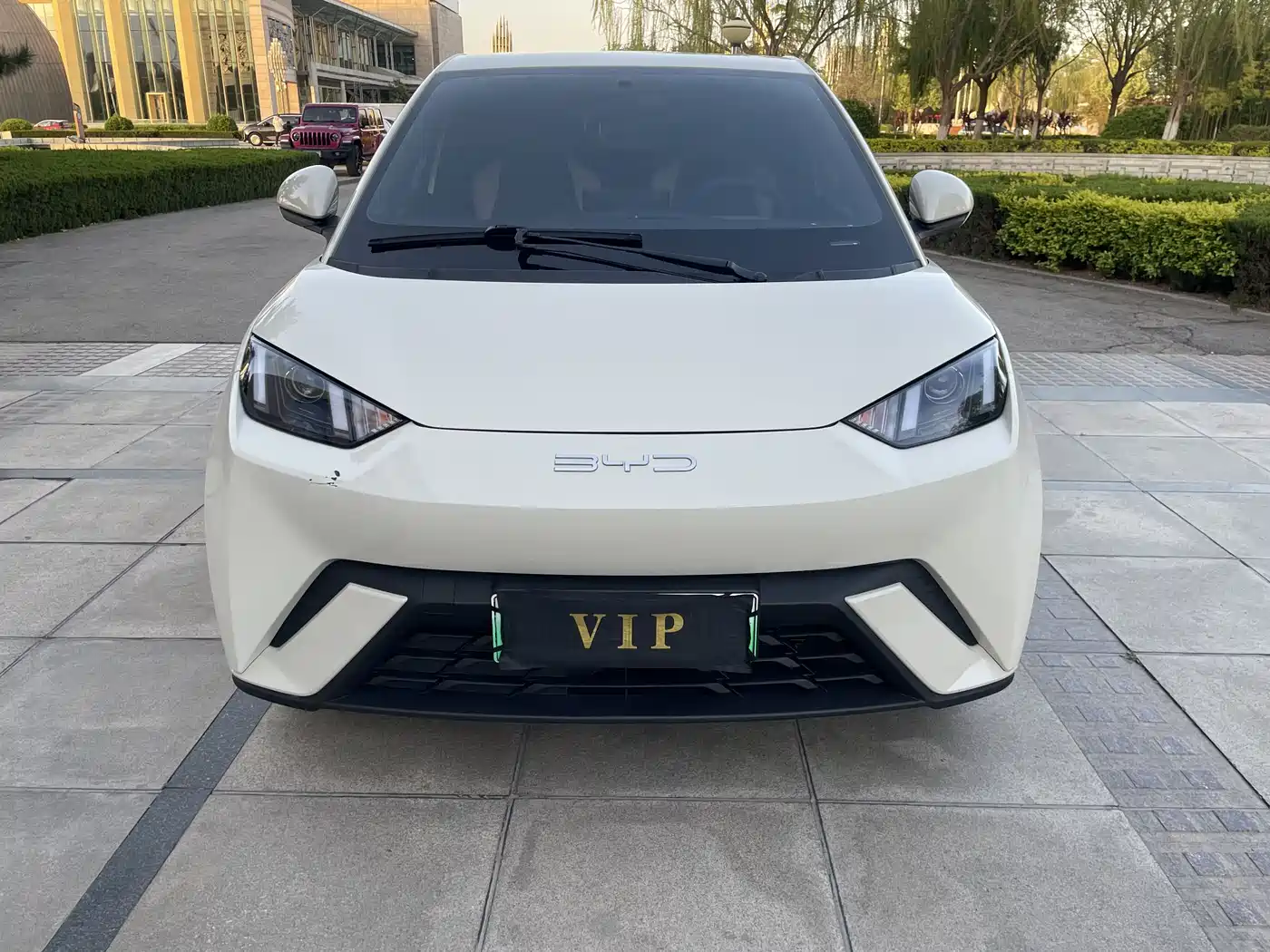 BYD Seagull 2023 Vitality Edition