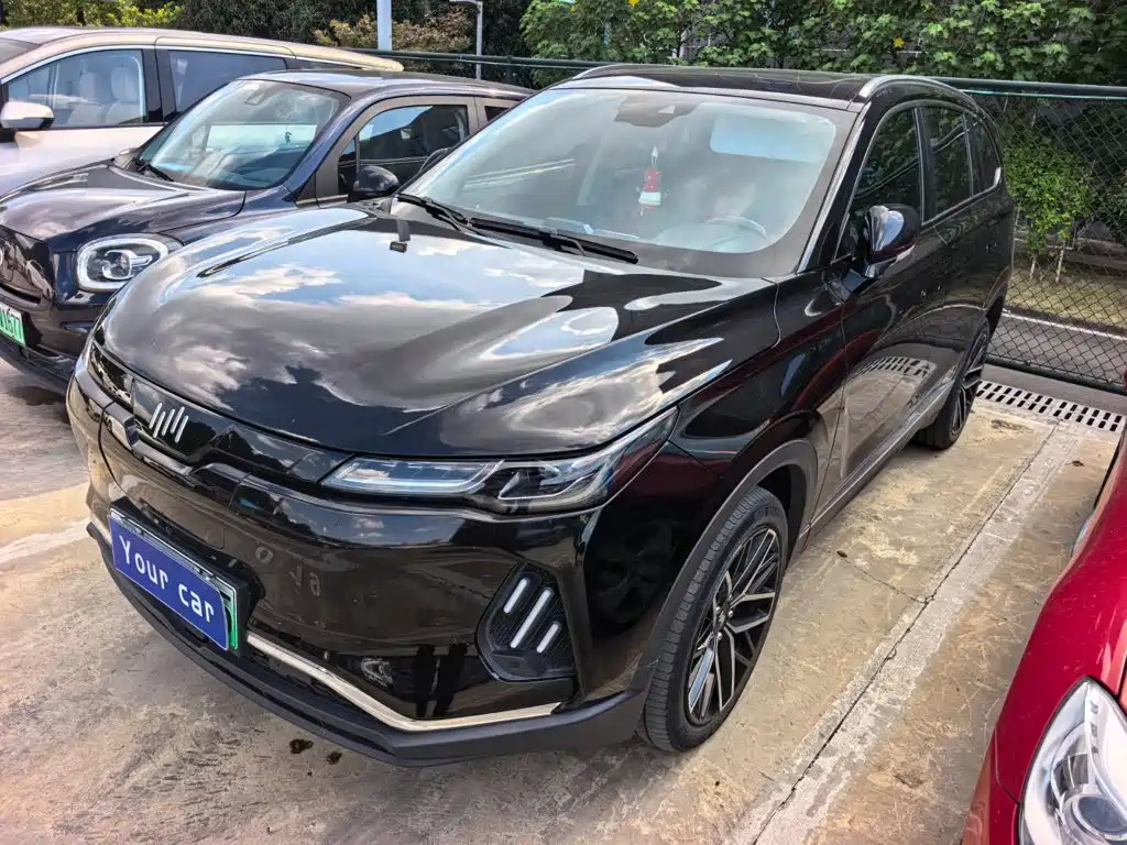 Weltmeister EX6 2020 2020 Plus First Founder Edition