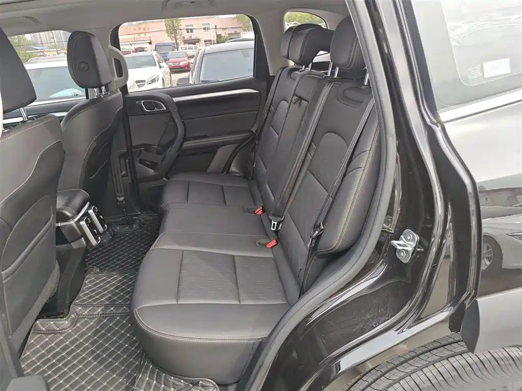 Haval Big Dog 2021 1.5T DCT 2WD Border Collie Edition фото 13