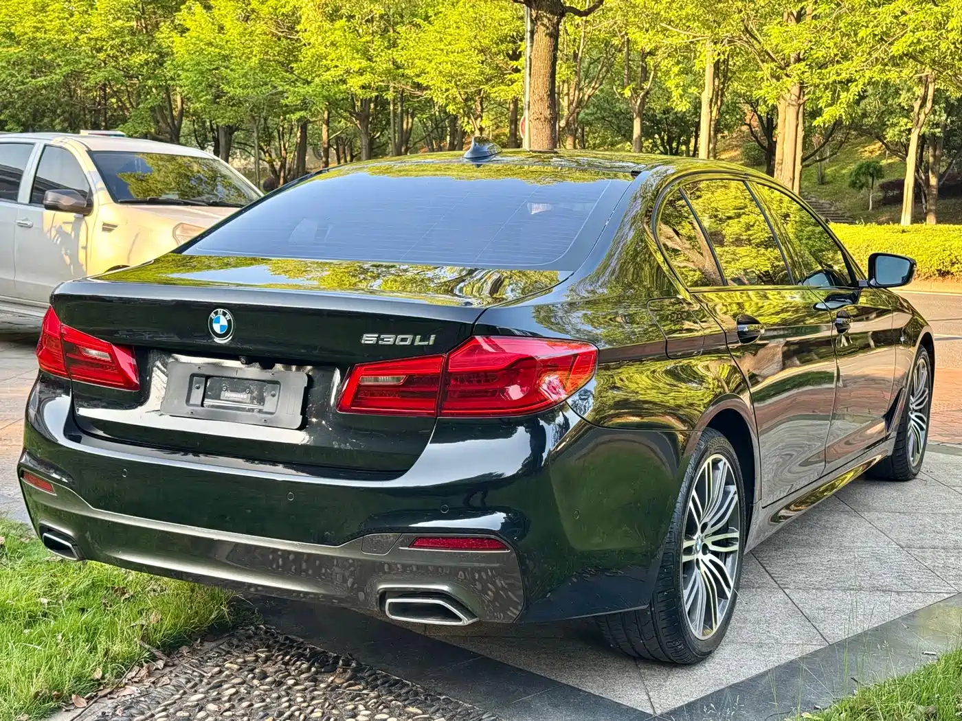 BMW 5 Series 2019 530Li Leading M Sport Package фото 3