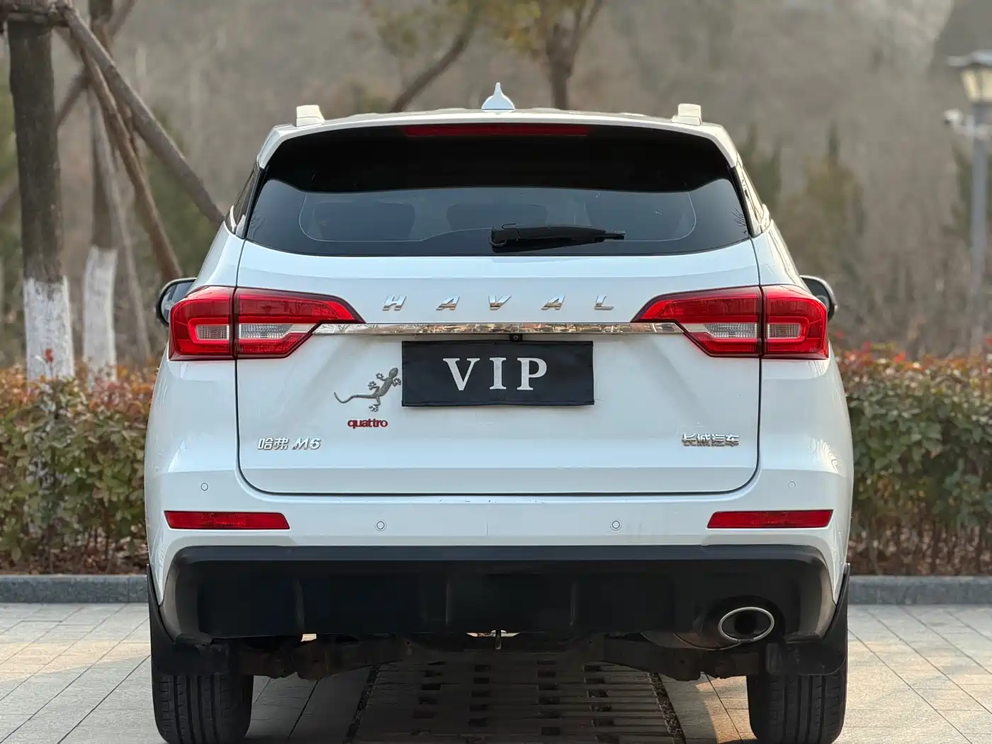 Haval M6 2019 1.5T DCT 2WD Elite Version China V фото 5