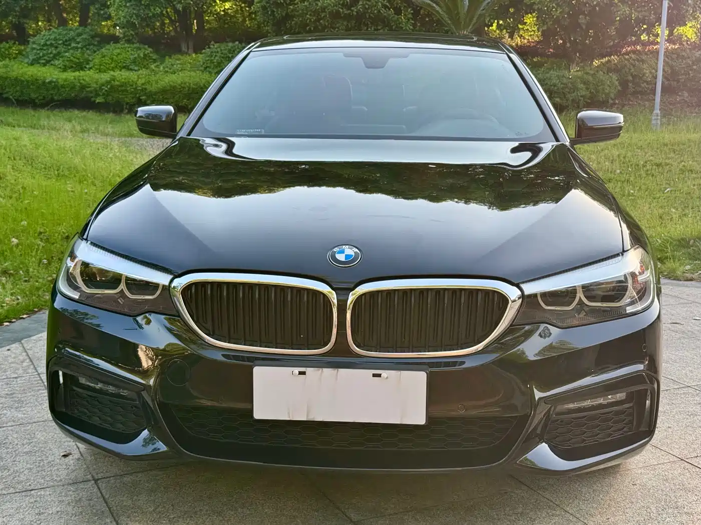 BMW 5 Series 2019 530Li Leading M Sport Package