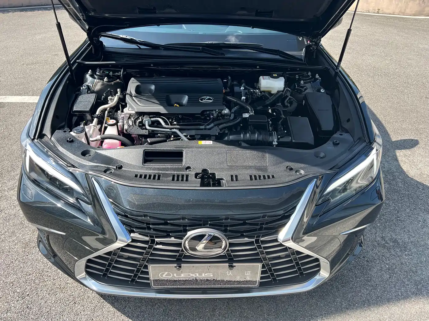 Lexus ES 2025 300h Ultimate Edition фото 11