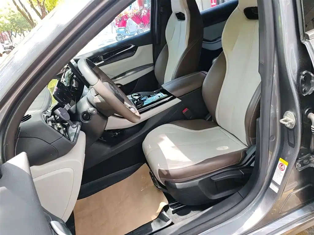 BYD Qin PLUS 2024 Glory Edition DM-i 55KM Leading фото 11