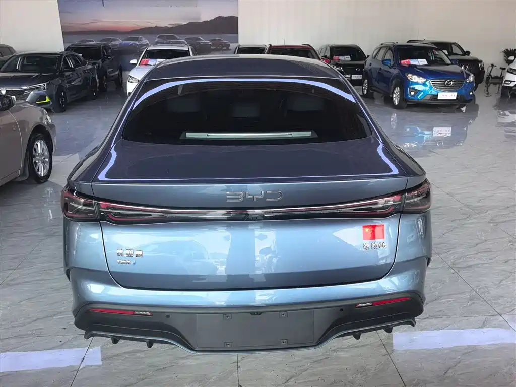 BYD Seal 06 New Energy 2024 DM-i 80KM Luxury фото 6