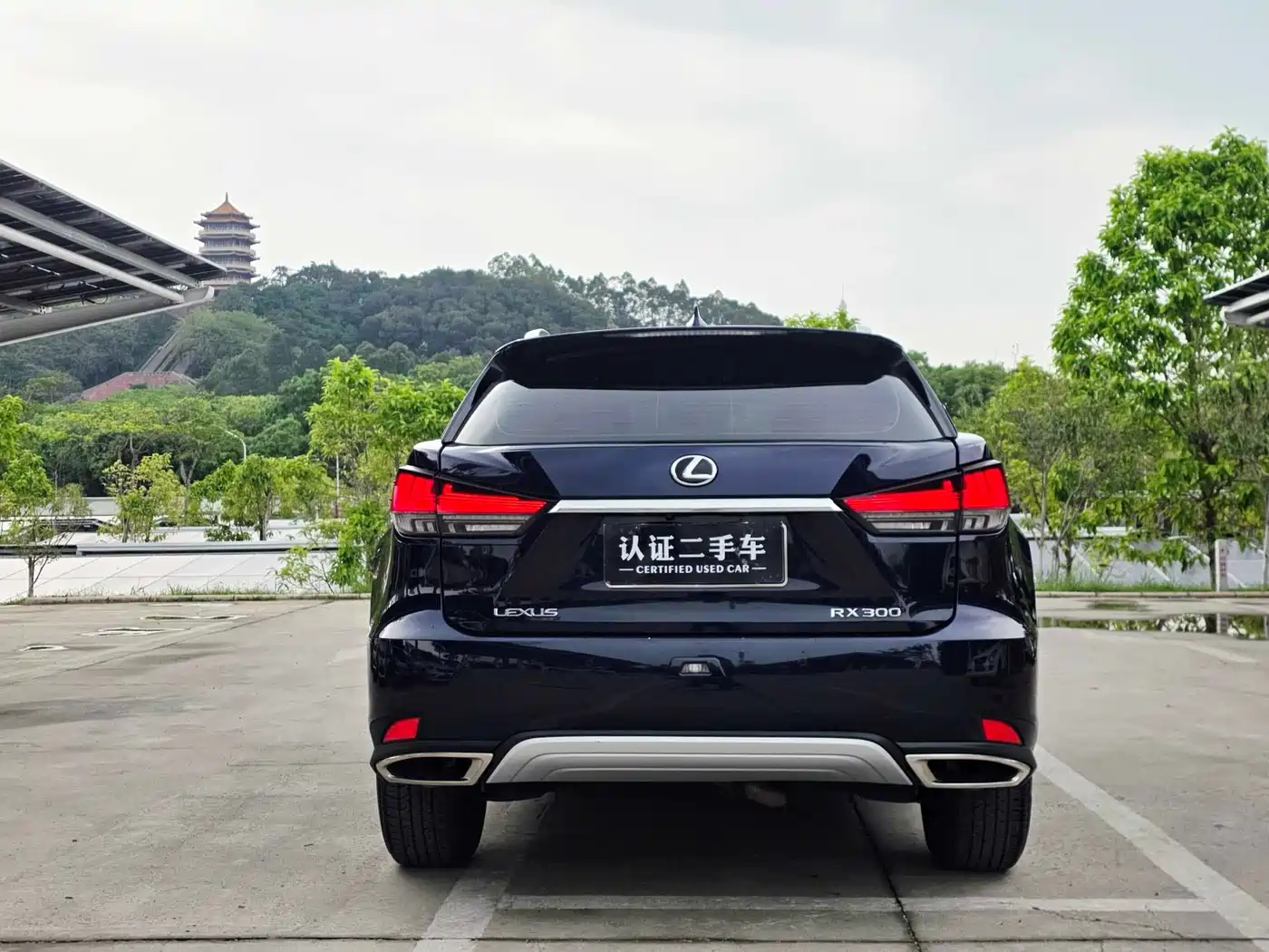 LEXUS RX