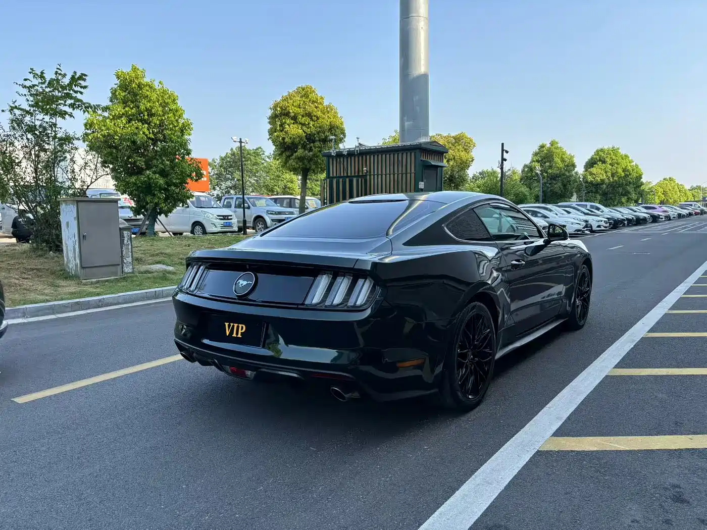 Ford Mustang 2015 2.3T Sport Edition фото 9