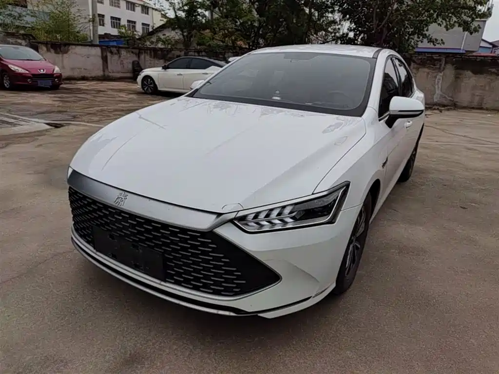 BYD Qin PLUS 2023 Champion Edition DM-i 55KM Leading