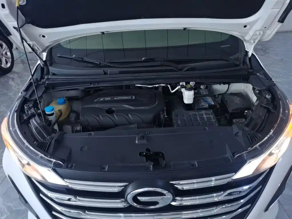 GAC Trumpchi Trumpchi M6 2021 270T DCT Luxury Edition (7-Seater) фото 20