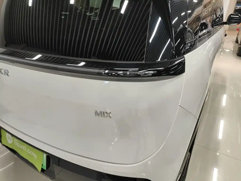 ZEEKR MIX 2025 2025 Smart Driving Edition