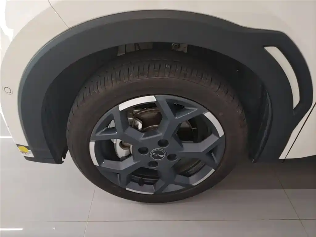 BYD Seagull 2025 Smart Drive Edition 305km Freedom Version фото 23