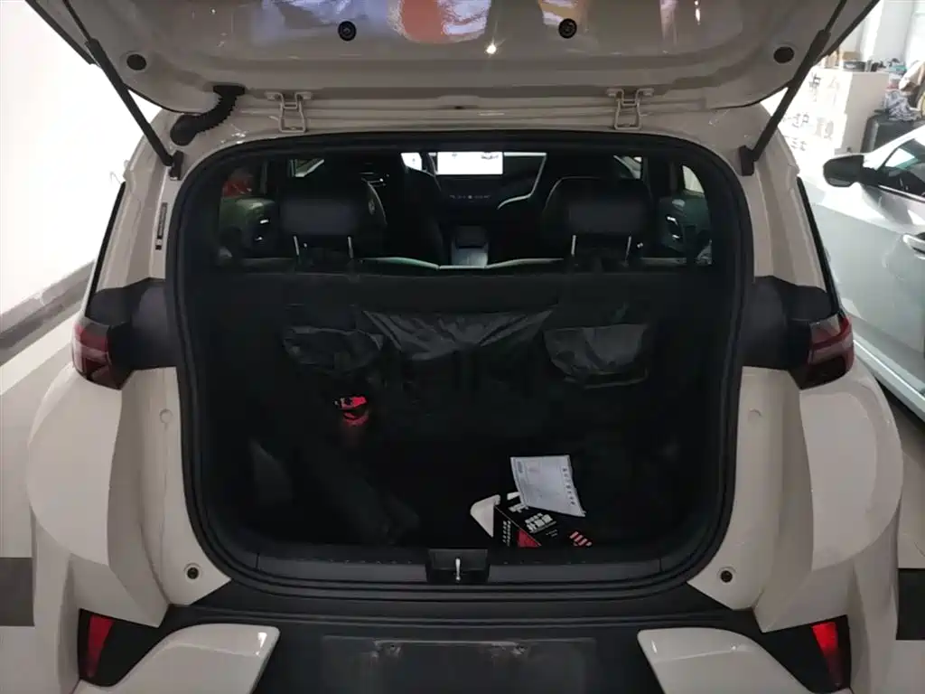 BYD Seagull 2025 Smart Drive Edition 305km Freedom Version фото 19