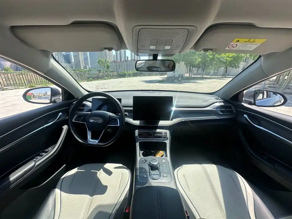 BYD Destroyer 05 2024 Glory Edition DM-i 55KM Luxury фото 9