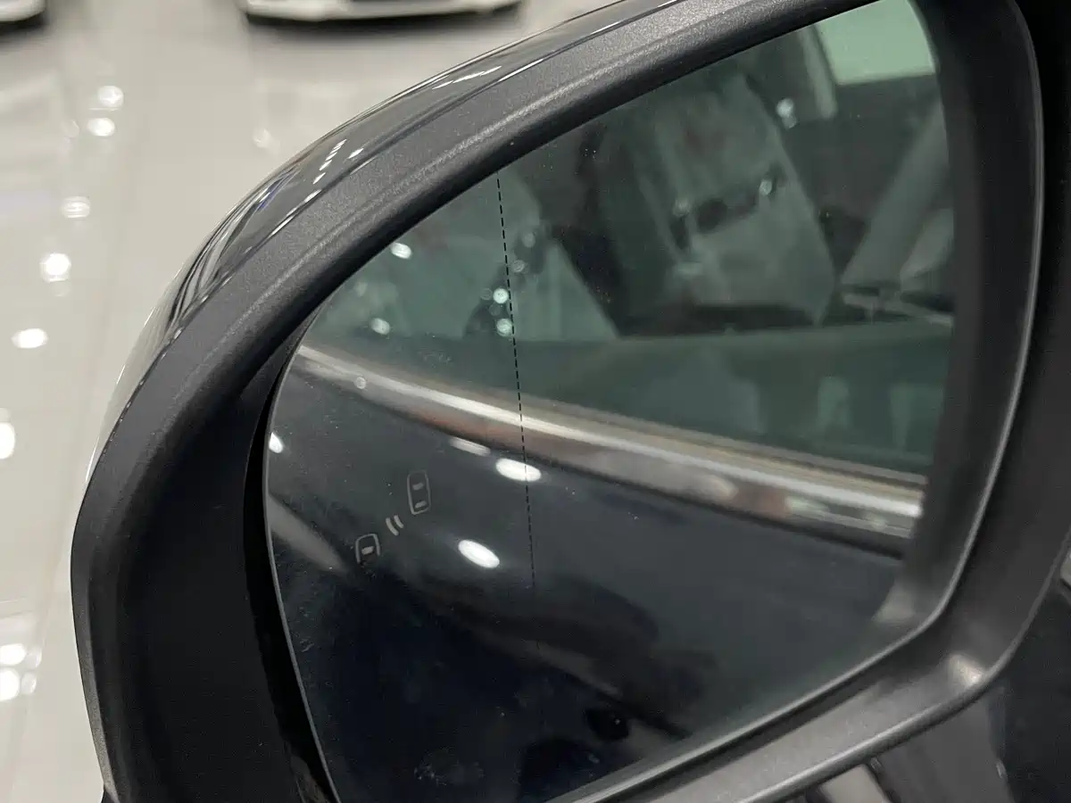 Hongqi HS7 2022 3.0T Automatic 4WD ZhiLian QiChang Edition 5-seater фото 22