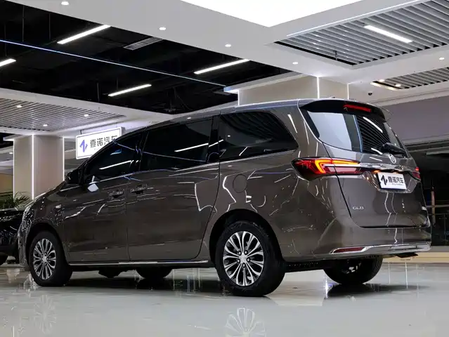 Buick GL8 2023 Model Land Business Class Smart — фото 5