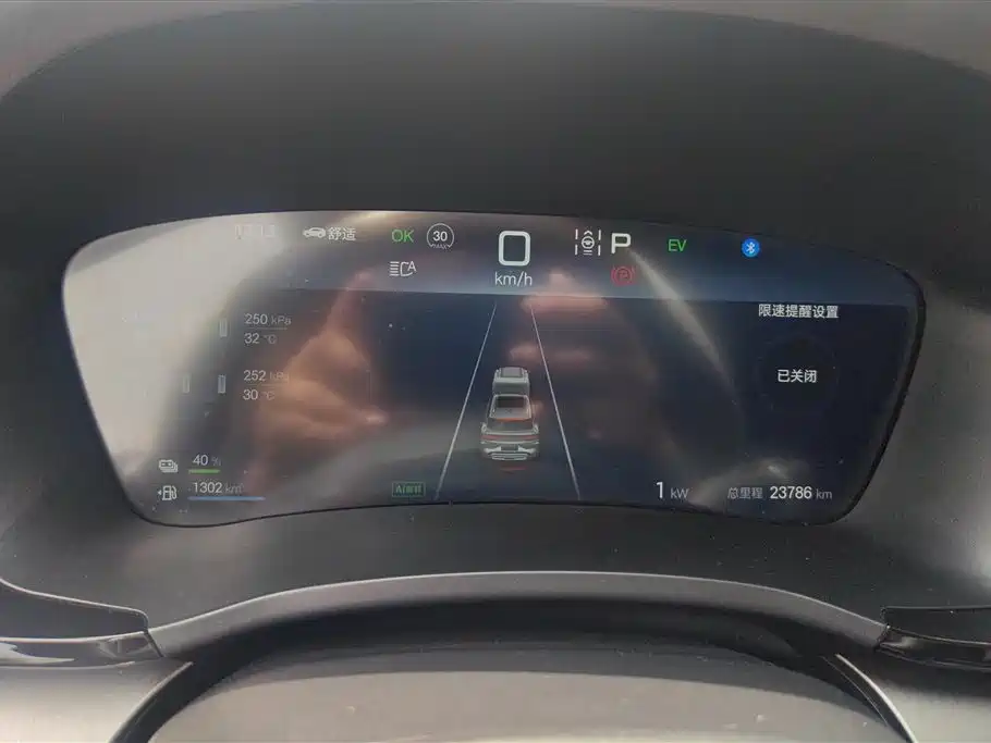 BYD SONGJIANG NEW ENERGY