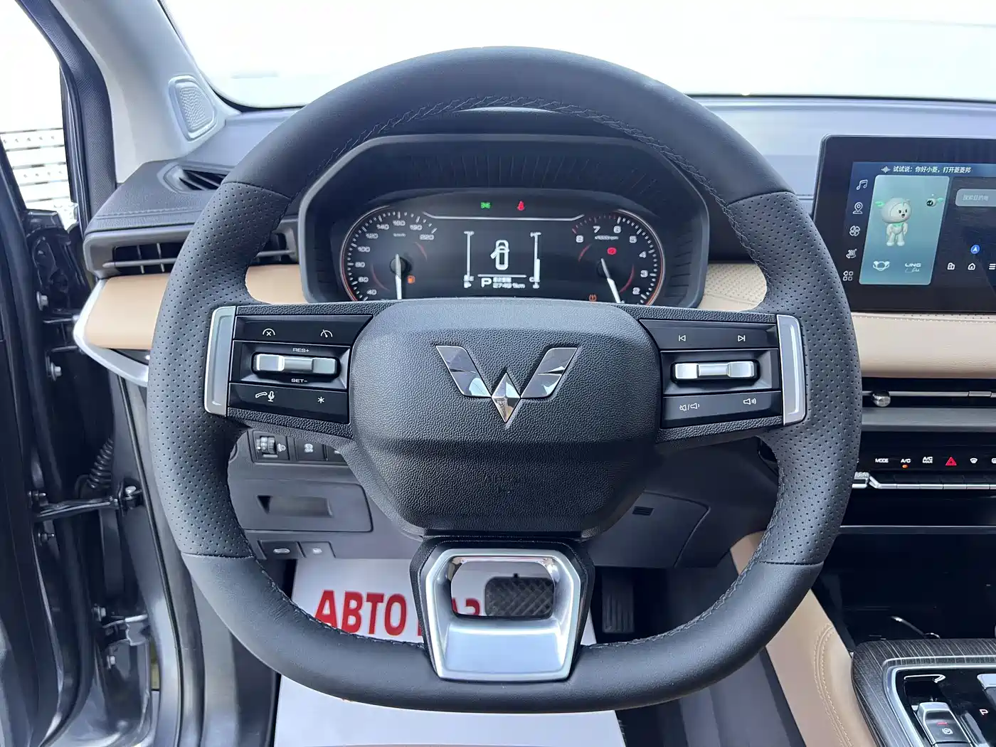 Wuling Motors Wuling Jiachen 2023 2022 1.5T CVT Exclusive Flagship Model